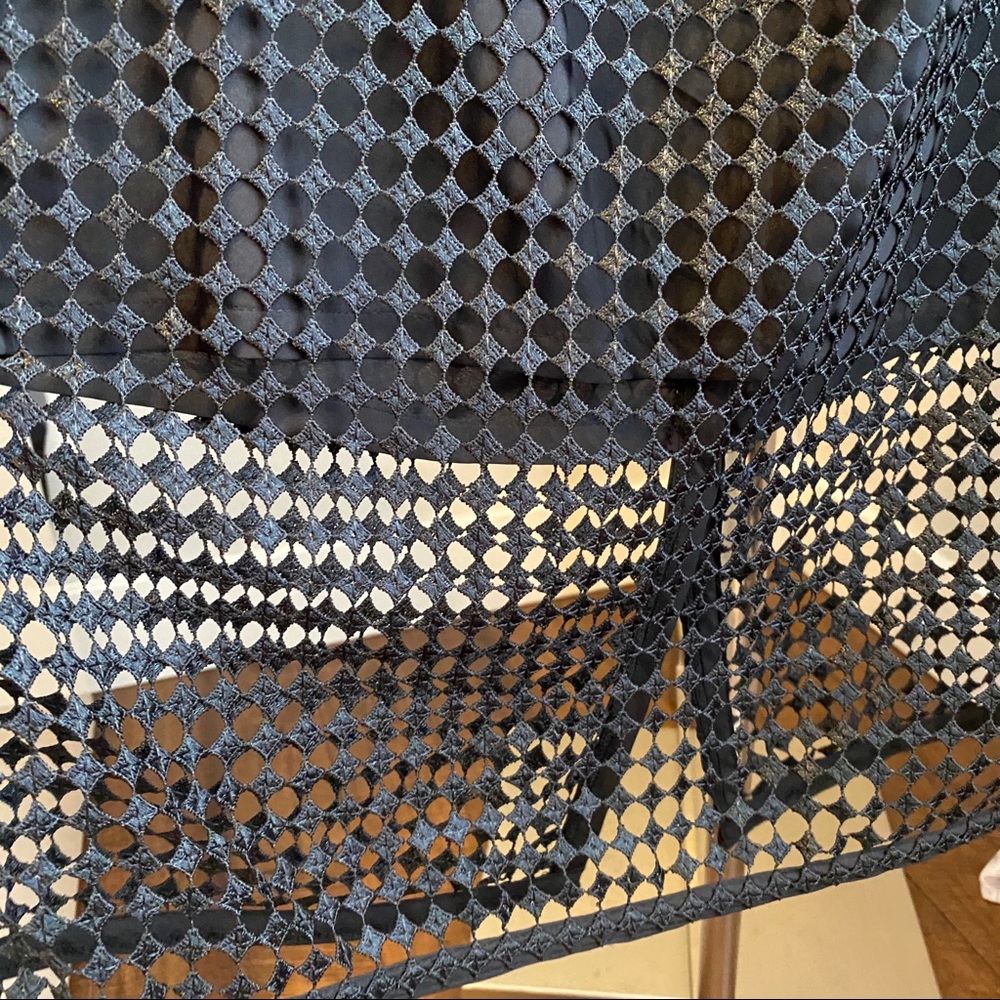 SOLD❗️Ann Taylor Modern Mesh Overlay Skirt - Picture 4 of 7
